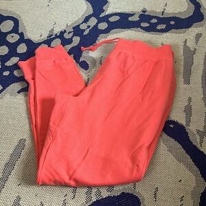 Champion sweatpants joggers NWOT